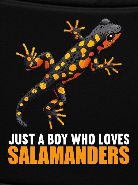 Fire Salamander Salamander