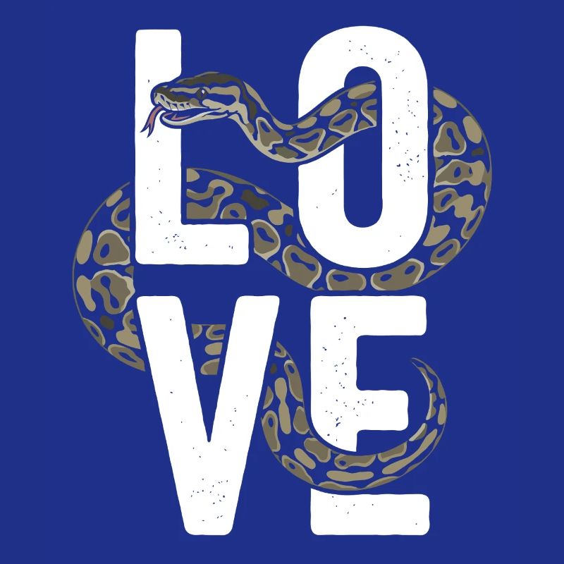 Königspython Schlangen LOVE Terrarium Python