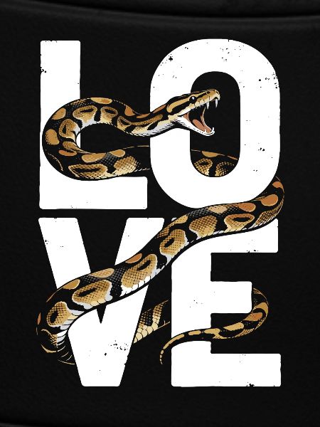 Königspython Schlangen LOVE Terrarium Python