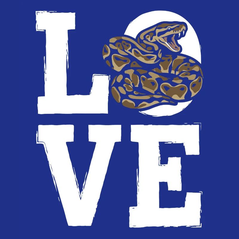 Königspython Schlangen LOVE Terrarium Python