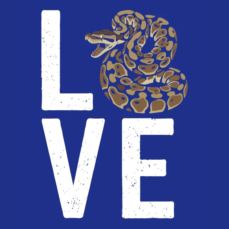 Königspython Schlangen LOVE Terrarium Python