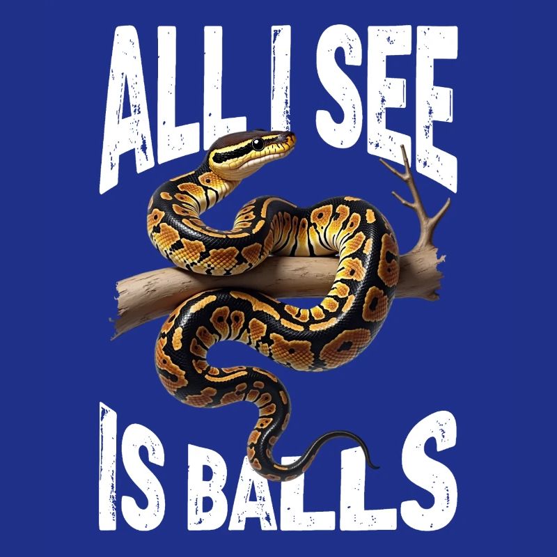 Königspython Schlangen Liebhaber Terrarium Python