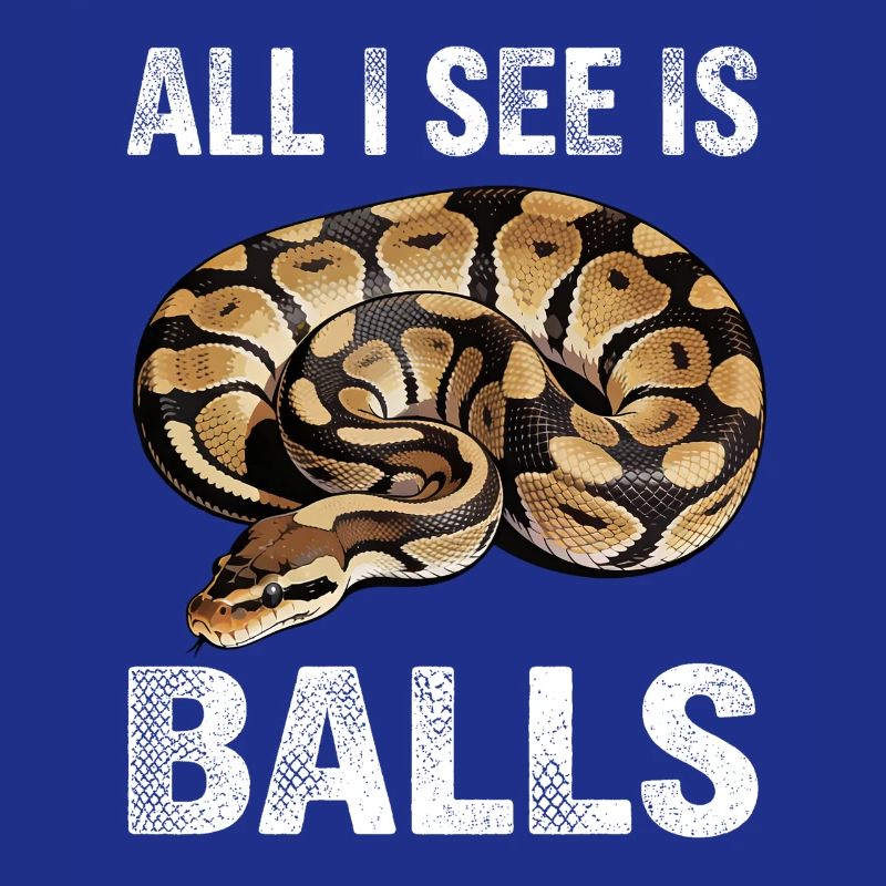 Königspython Schlangen Liebhaber Terrarium Python