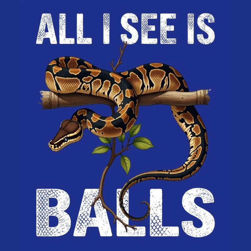 Königspython Schlangen Liebhaber Terrarium Python