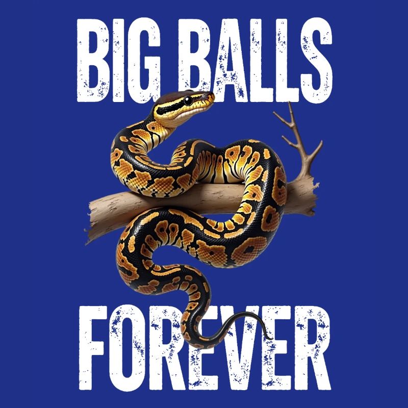 Python roi Serpents Amateurs de terrarium Python