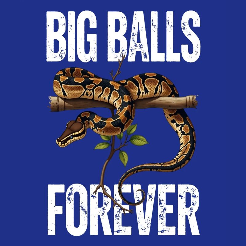 King Python Snakes Lover Terrarium Python