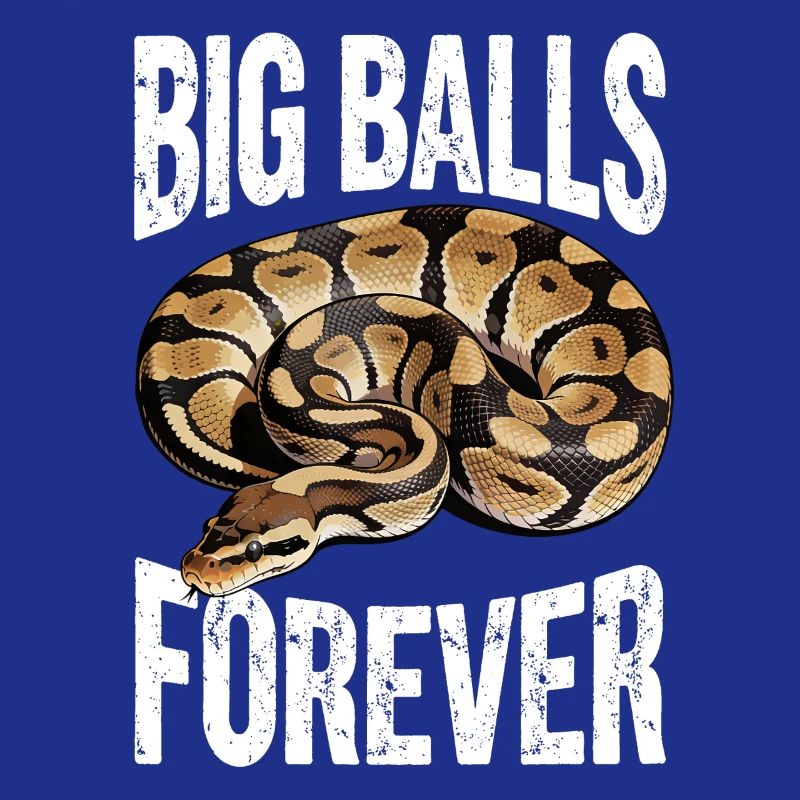 King Python Snakes Lover Terrarium Python