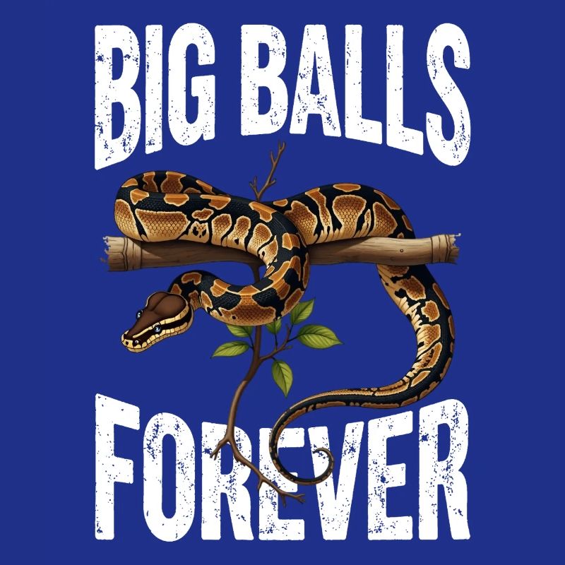 King Python Snakes Lover Terrarium Python