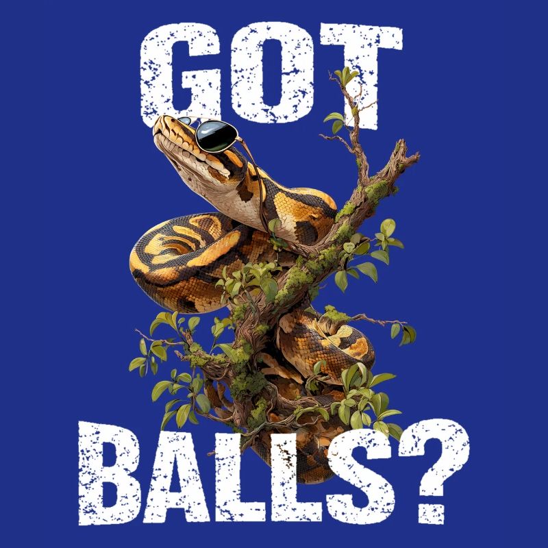 Python roi Serpents Amateurs de terrarium Python