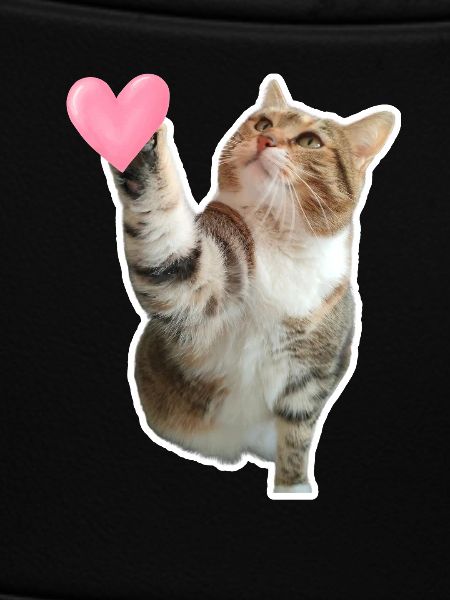 Missty check a heart