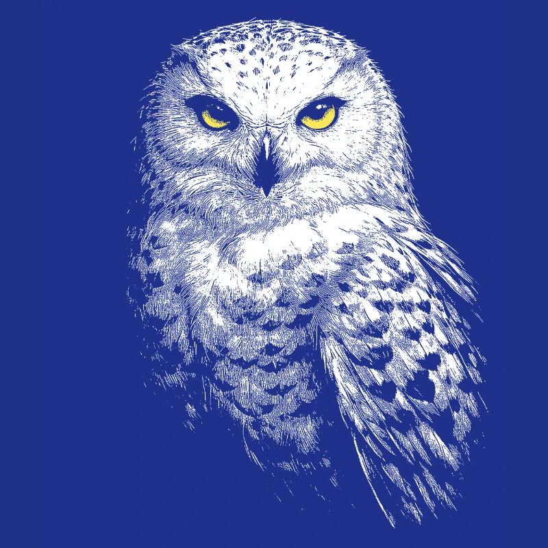 Schneeeule