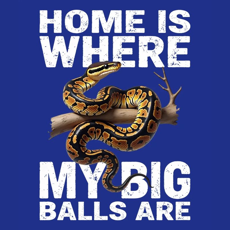 Python roi Serpents Amateurs de terrarium Python