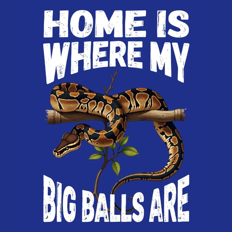 Python roi Serpents Amateurs de terrarium Python