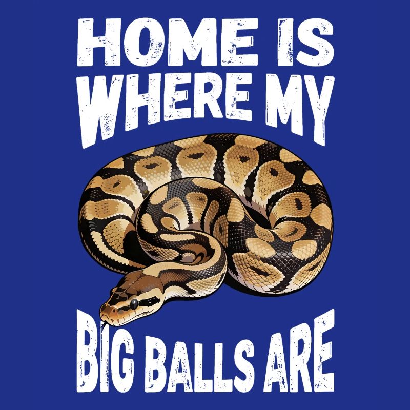 Königspython Schlangen Liebhaber Terrarium Python