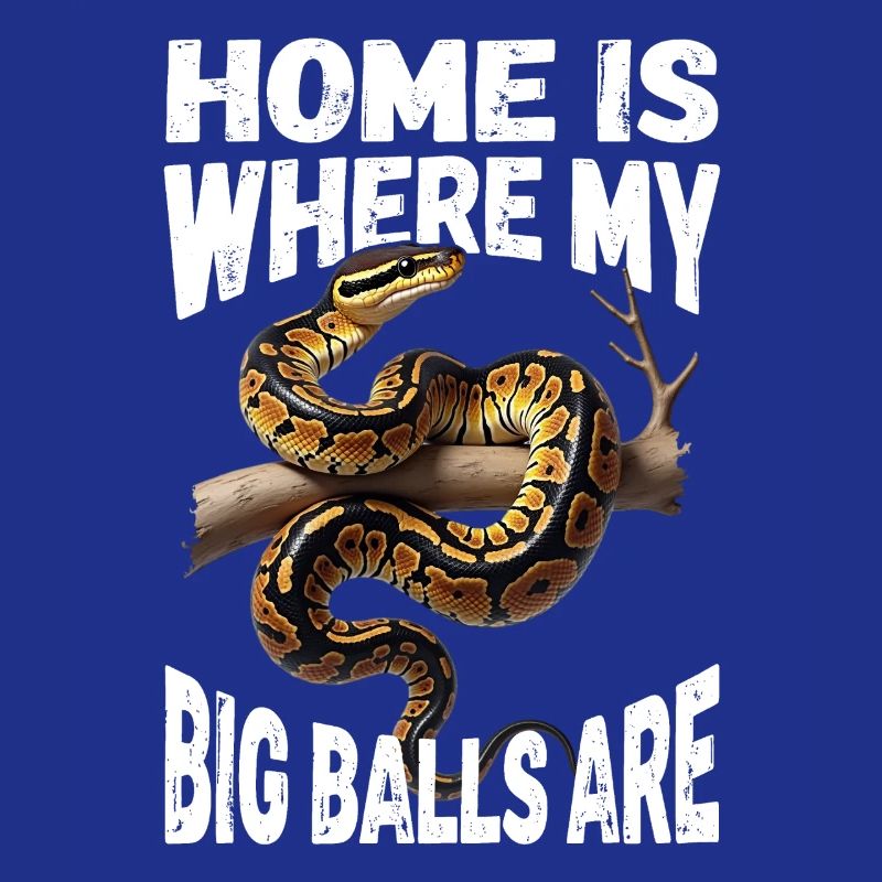 Königspython Schlangen Liebhaber Terrarium Python