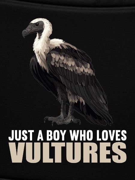Vautour