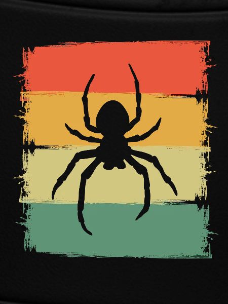 spider