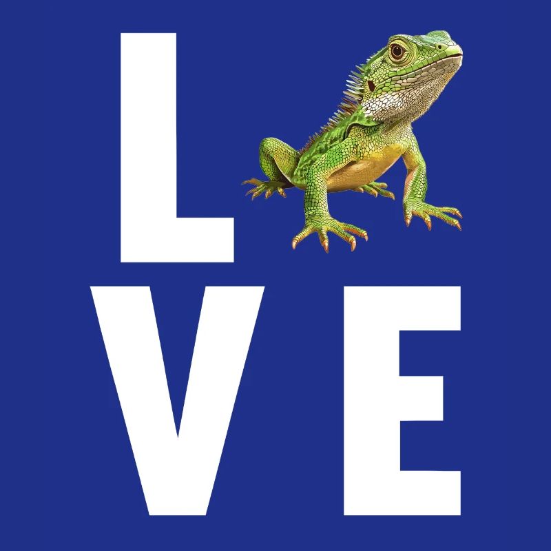 Eidechsen Eidechse