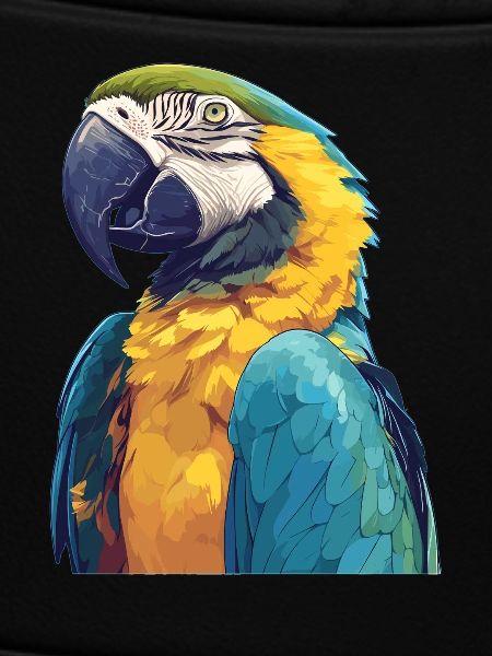Macaw's Era