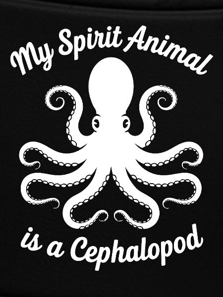 Conception des céphalopodes