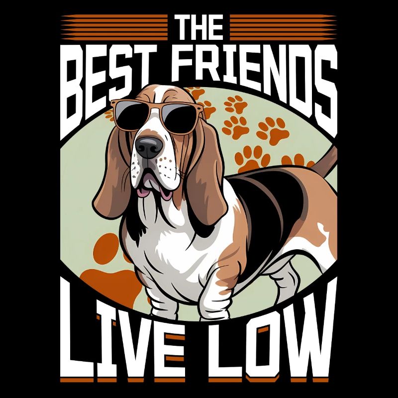 Basset Hound de race de chien drôle