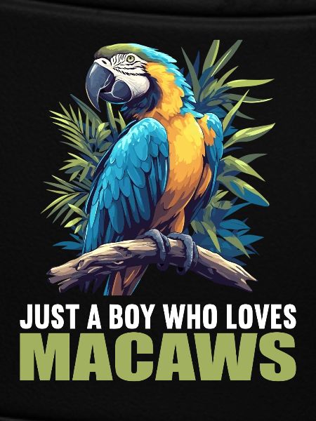 Macaw's Era
