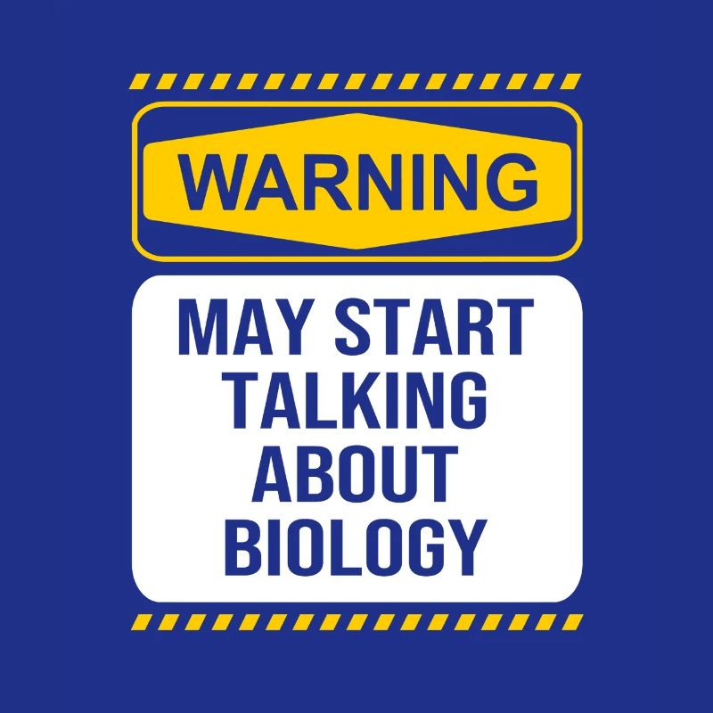 Strukturformel Molekül