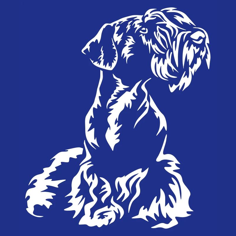 Cesky Terrier "Black Edition"