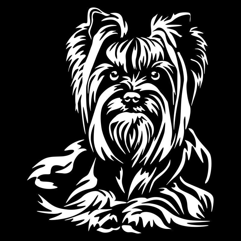 Yorkshire Terrier "Black Edition"