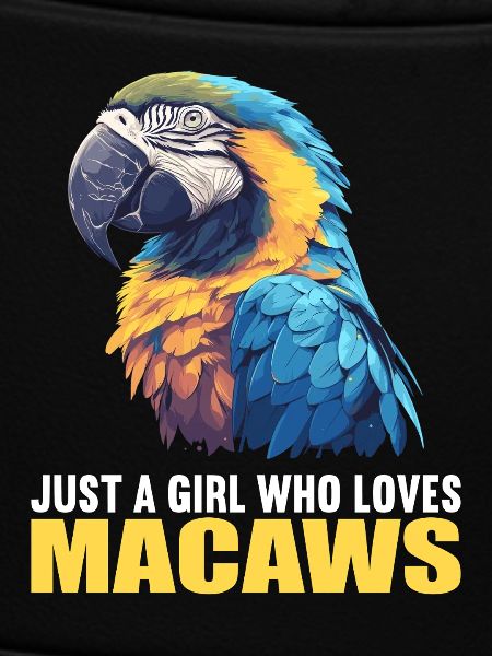 Macaw's Era