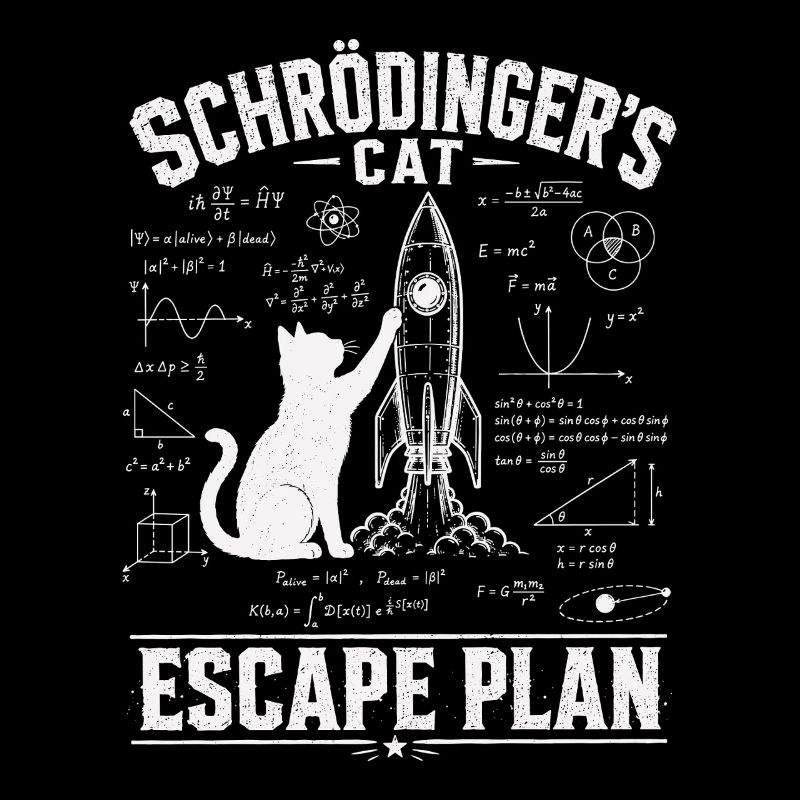 Chemise scientifique Schrödinger Chat