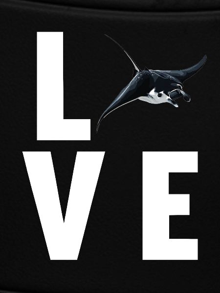 Rochen Mantarochen