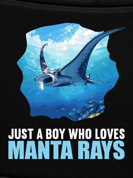 Rochen Mantarochen