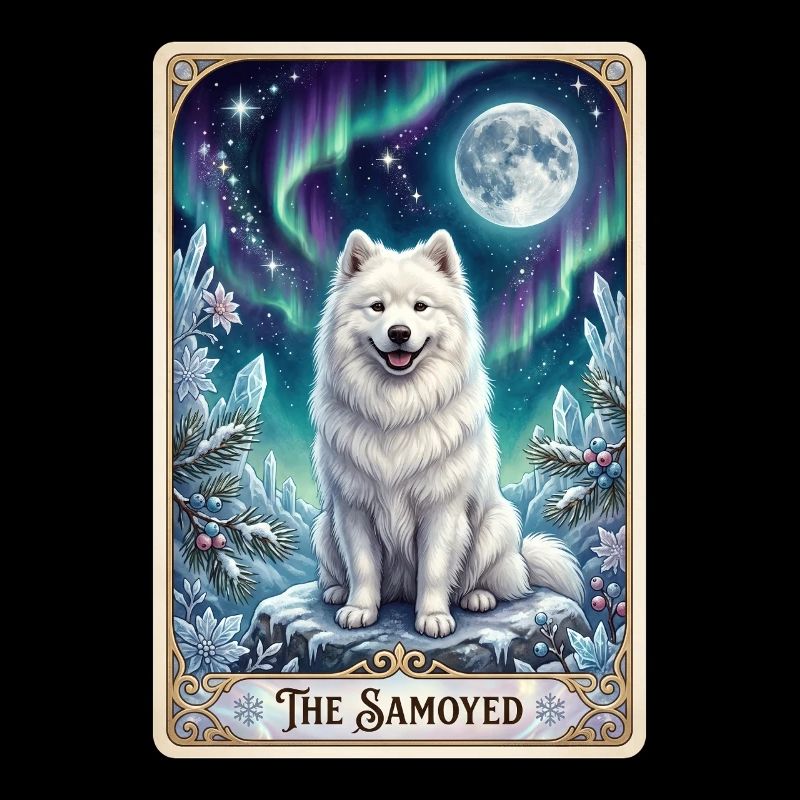 Samoyeds under the Northern Lights