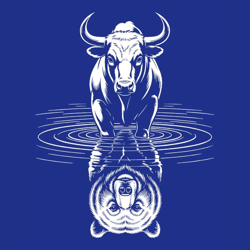DayTrader Aktien Trader Forex Trading Devisen