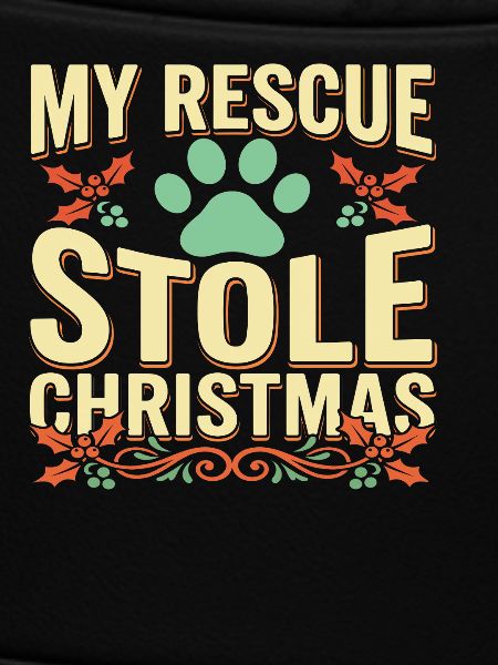 First Christmas with