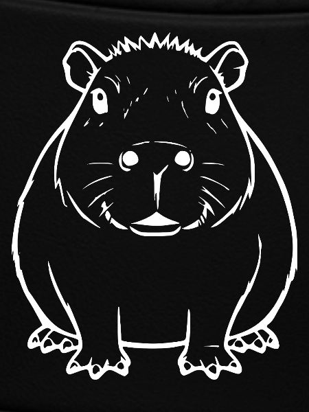 Capybara Capybara Gift