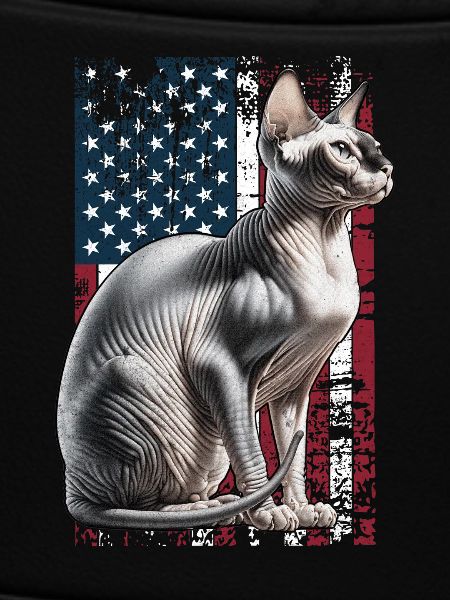 Sphynx Cat US Sphynxkatze
