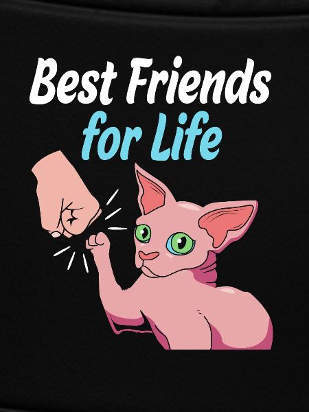 Sphynx Cats