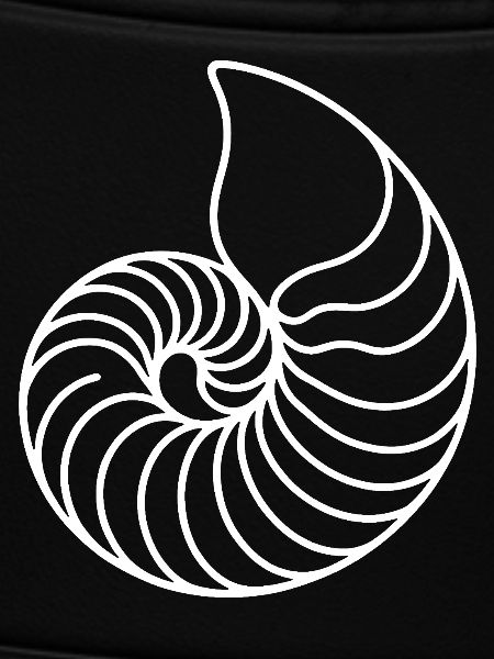 Nautilus Spirale Linienkunst