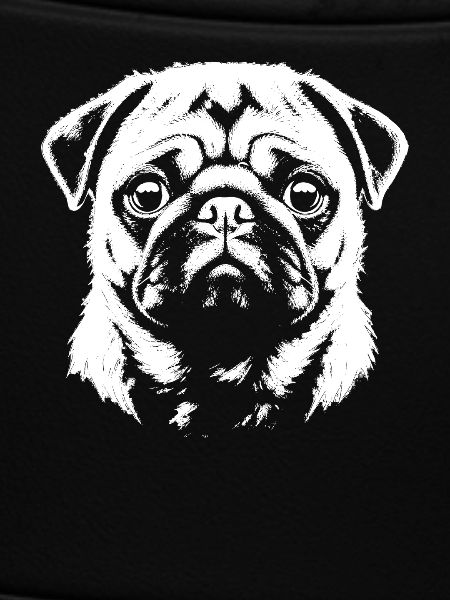 Mops Kopf Portrait