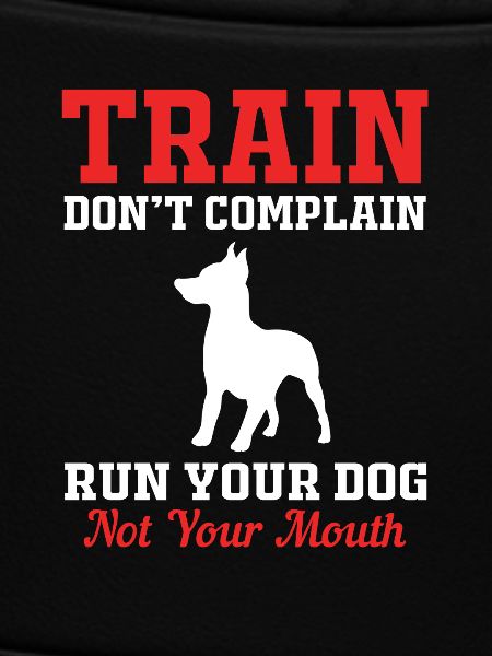 Hundetrainer