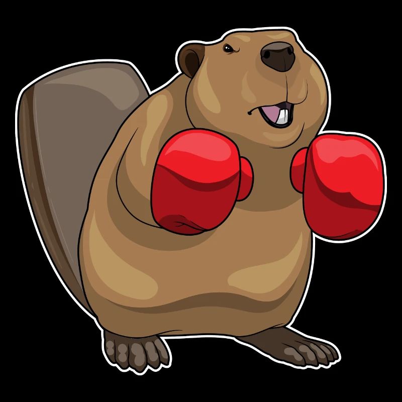 Biber Boxer Boxhandschuhe