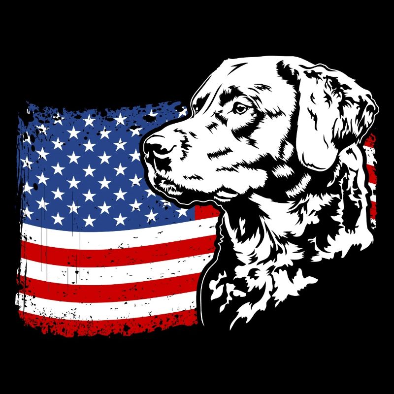 Chesapeake Bay Retriever Drapeau de l’Amérique des États-Unis Wilsigns