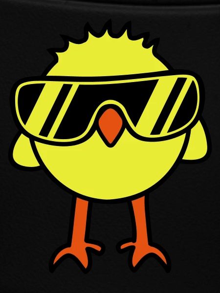 Cool Chick