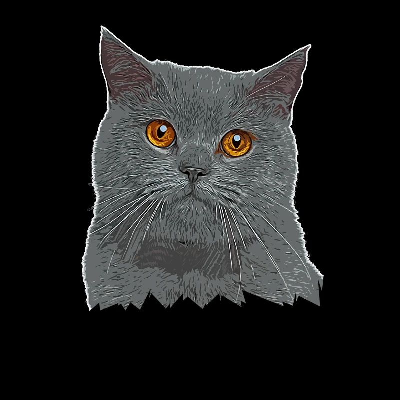 Britisch Kurzhaar Katze - BKH - Katzen Geschenk