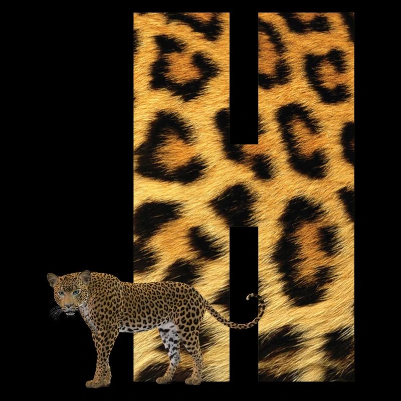 leopard h