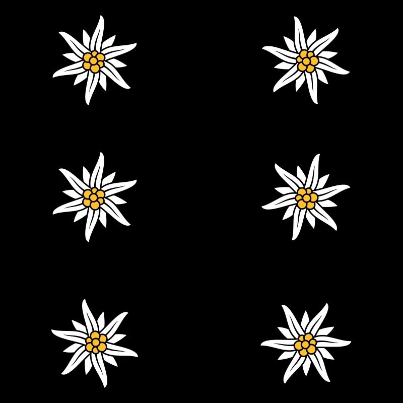 Dirndl apron Edelweiss