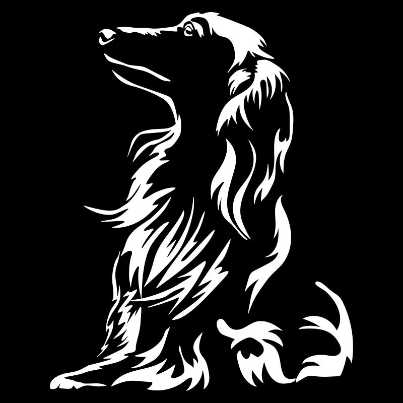 Dachshund "Black Edition"