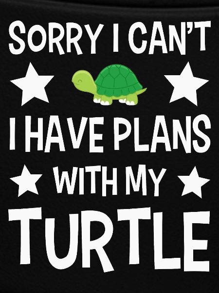 Turtles